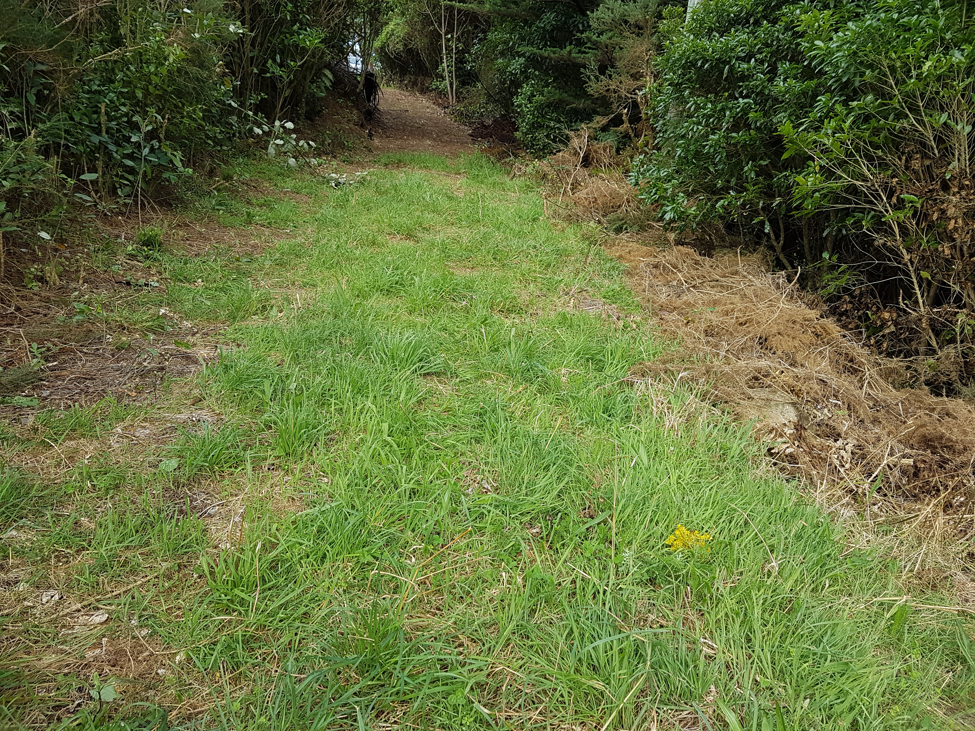 308 Normandale Road, Normandale, Lower Hutt, 0 Schlafzimmer, 0 Badezimmer