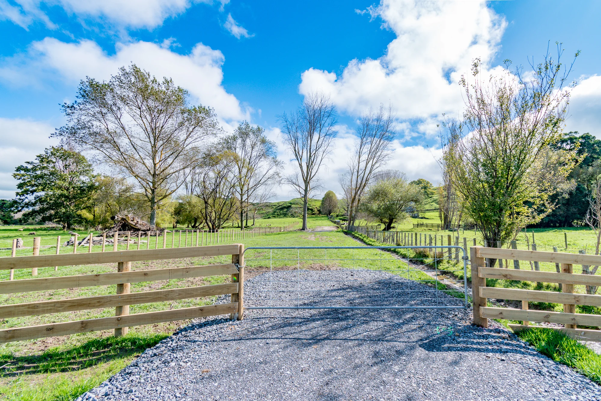 411 Valley Road, Colyton, Feilding, Manawatu, 0 Bedrooms, 0 Bathrooms, Lifestyle Section