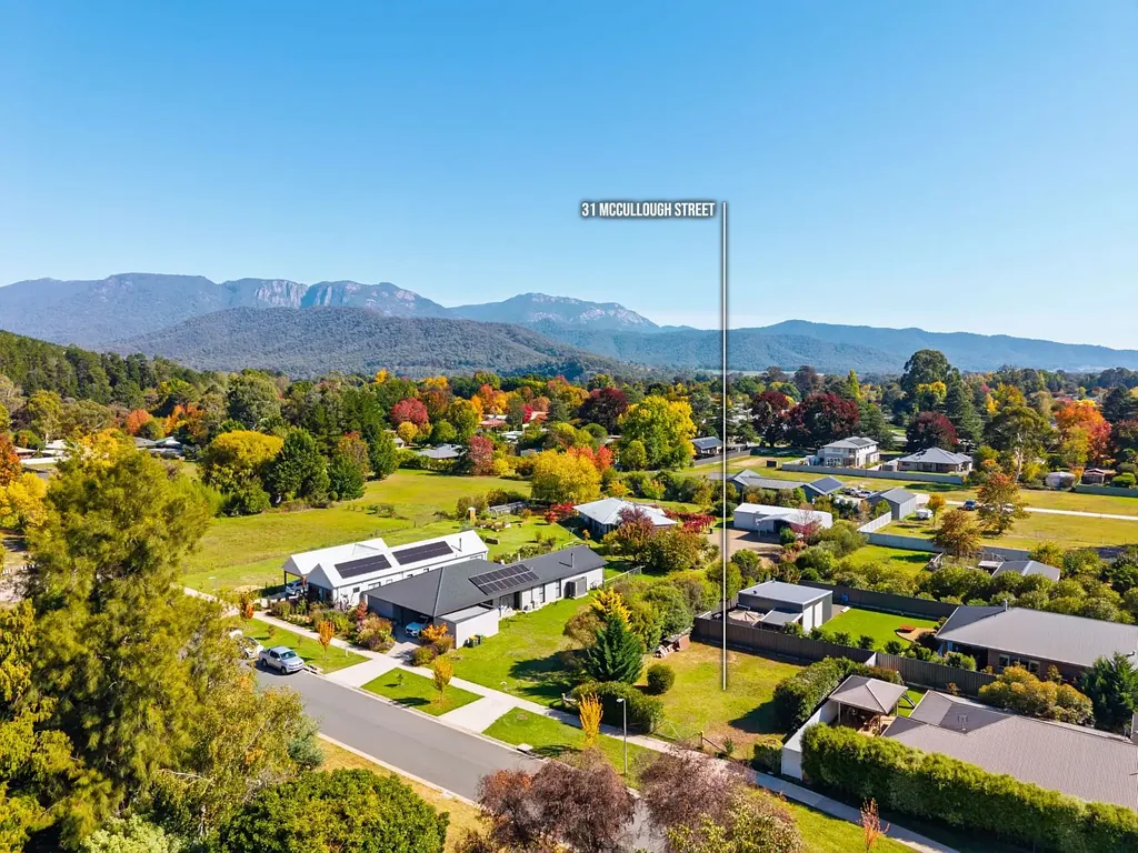 Porepunkah  BLANK CANVAS WITH BUFFALO BACKDROP