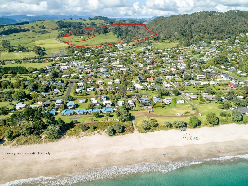 94 Hahei Beach Road, Hahei, Coromandel, 0 chambres, 1 salles de bain