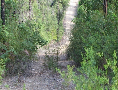 Lot 3573 Tamm Road, Quinninup, Bunbury, 0 રૂમ, 0 બાથરૂમ, Lifestyle Property