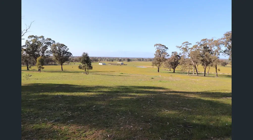 Murchison Productive 314-Acre Rural Property with Livestock Infrastructure