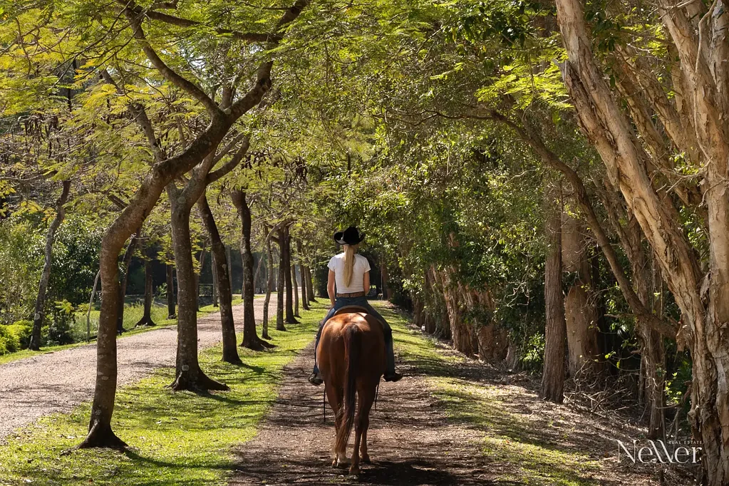 Peregian Beach 3બેડરૂમ Five Acres of Paradise Between Noosa and Peregian Beach