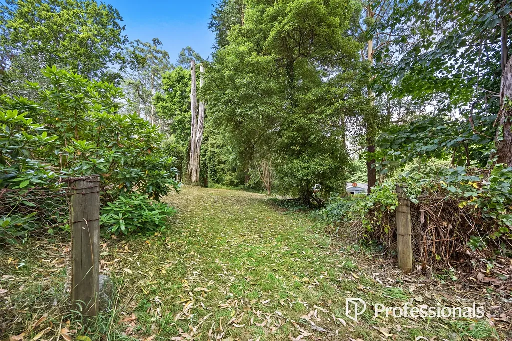Mount Dandenong Welcome to Your Slice of the Hills!