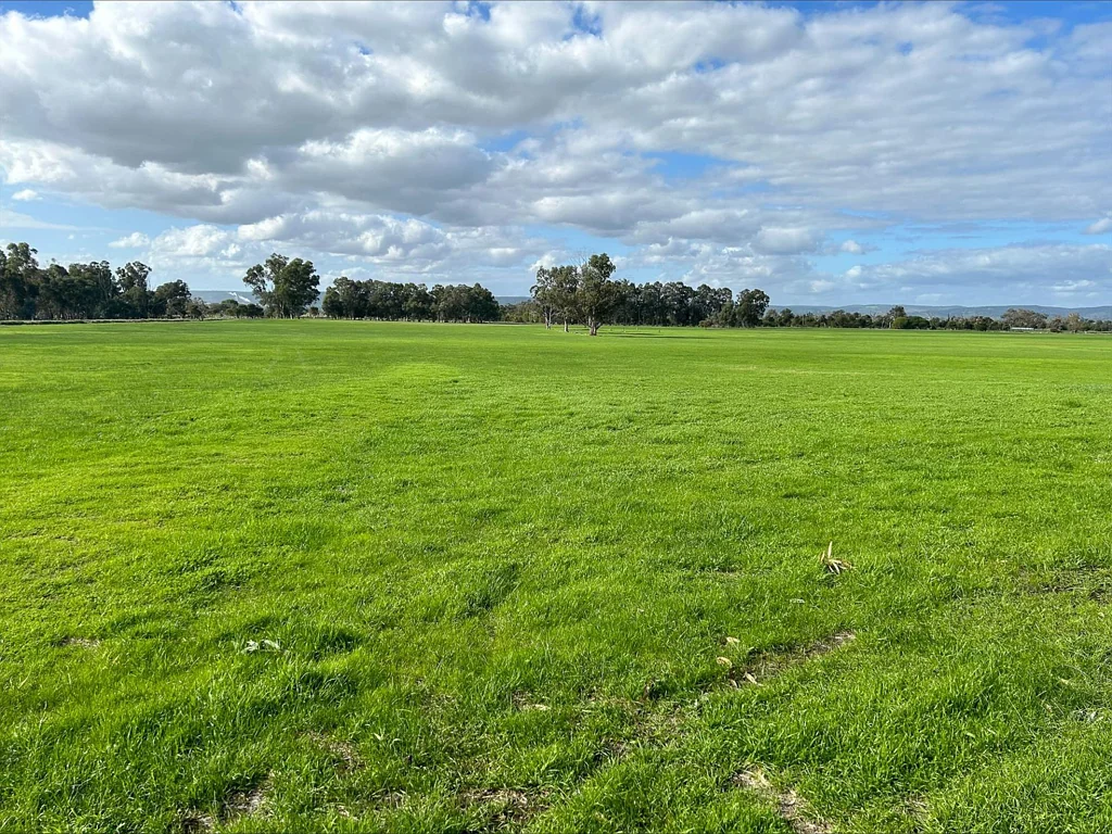 Yarloop  Graze Away