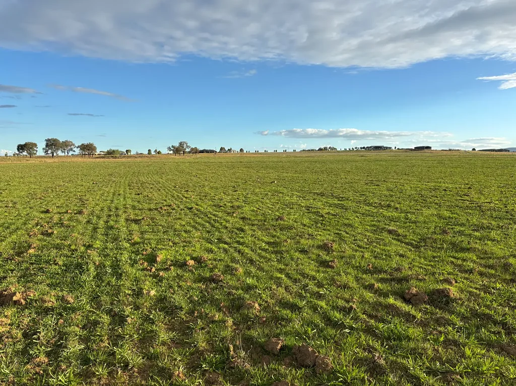 156 Warral-Bithramere Road, Tamworth, NSW 2340