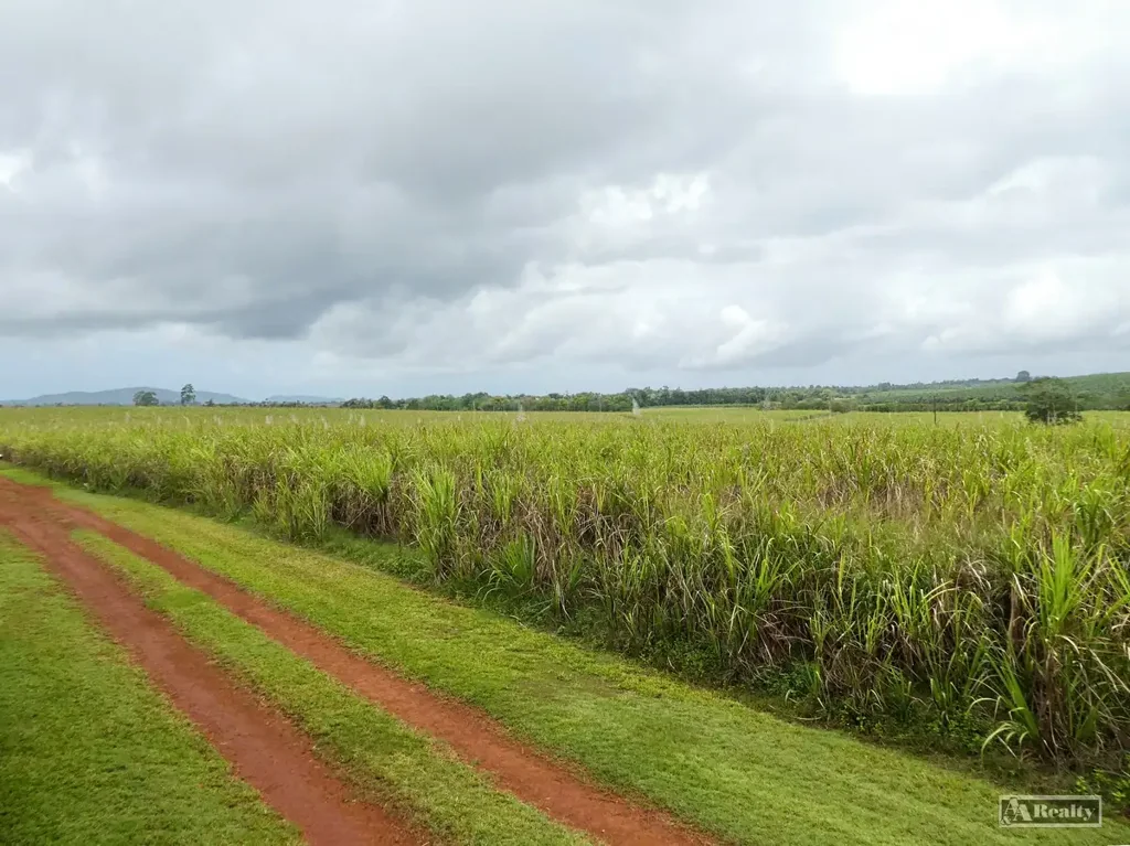 Bamboo Creek  BAMBOO CREEK, MUNDOO