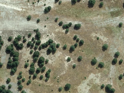 Residential Zone