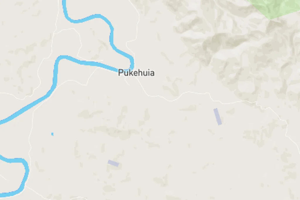 Pukehuia