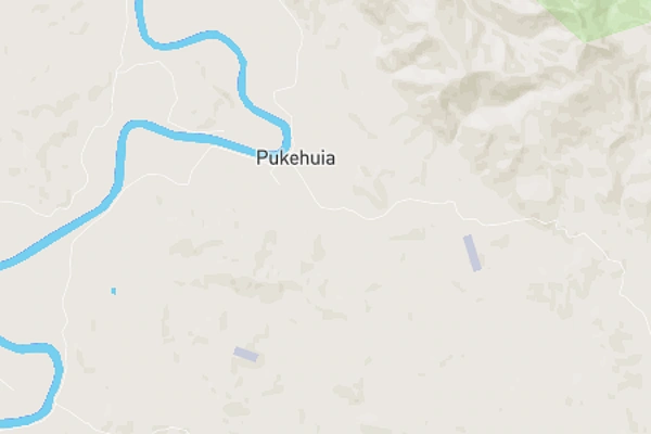 Pukehuia