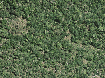 Open Space Natural