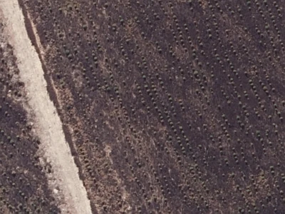 Rural B