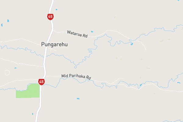 Pungarehu