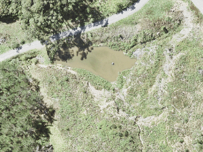 Rural  Rural Coastal Zone