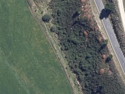 Rural B