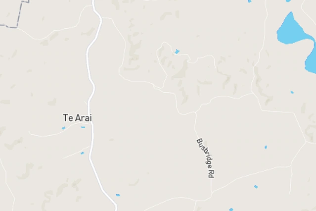 Te Arai