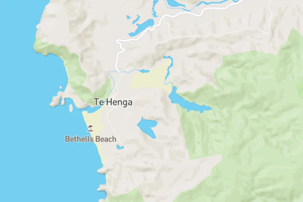 Te Henga / Bethells Beach