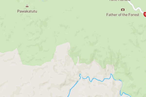Waipoua Forest
