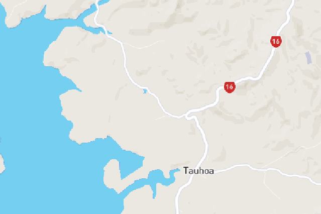 Tauhoa