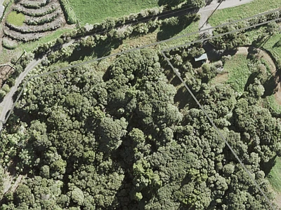 Rural  Waitakere Ranges Zone