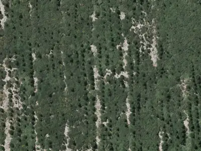 Rural Waimakariri