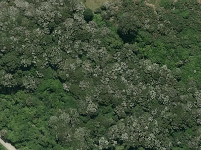 Open Space Natural