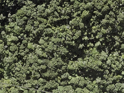 Rural  Waitakere Ranges Zone