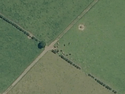 Rural  Rural Production Zone