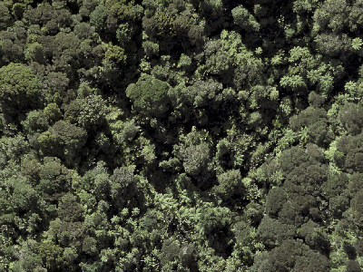 Open Space  Conservation Zone