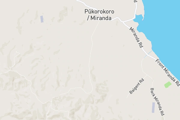 Pukorokoro / Miranda