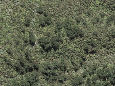 Rural  Rural Production Zone