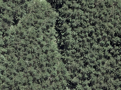 Rural  Rural Production Zone