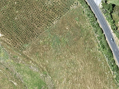 Rural  Rural Production Zone