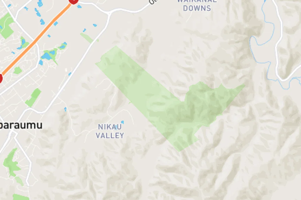 Nikau Valley