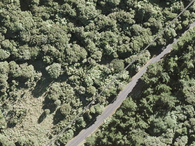 Rural  Waitakere Ranges Zone