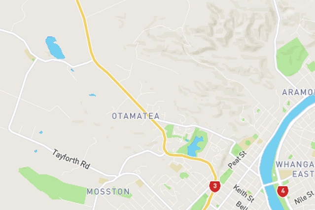 Otamatea