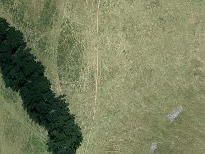 Rural Banks Peninsula