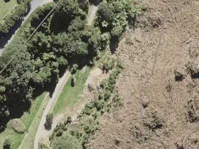 Hauraki Gulf Islands