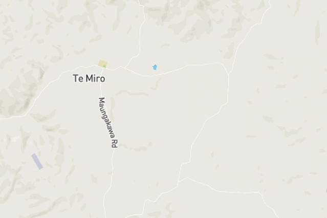 Te Miro