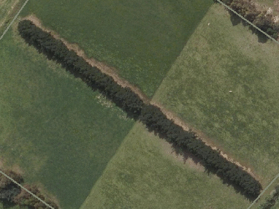 Outer Plains
