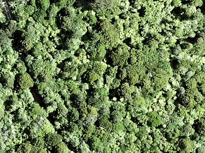 Open Space  Conservation Zone
