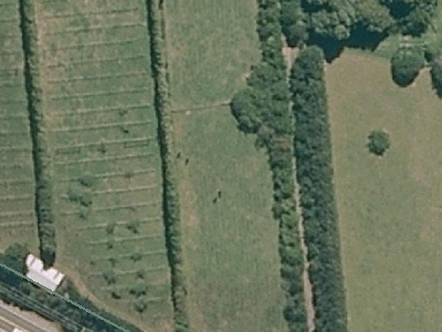 Rural  Rural Production Zone
