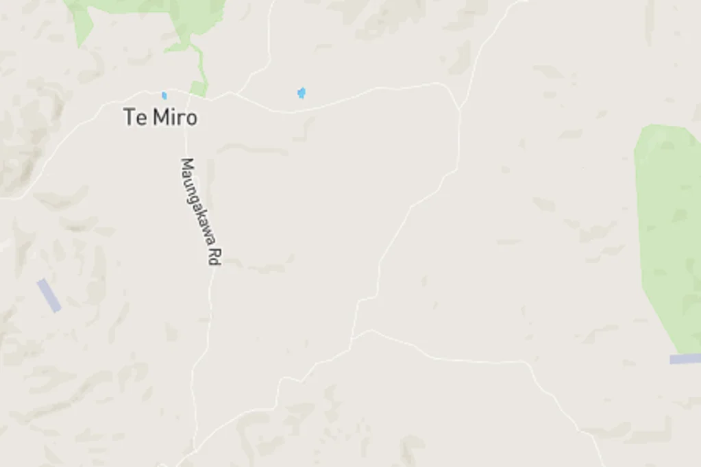 Te Miro
