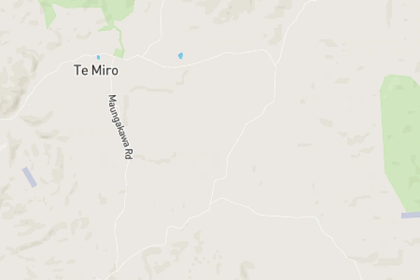 Te Miro