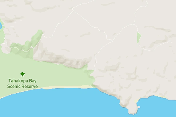 Purakauiti