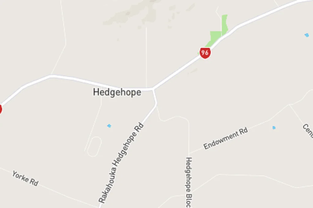 Hedgehope