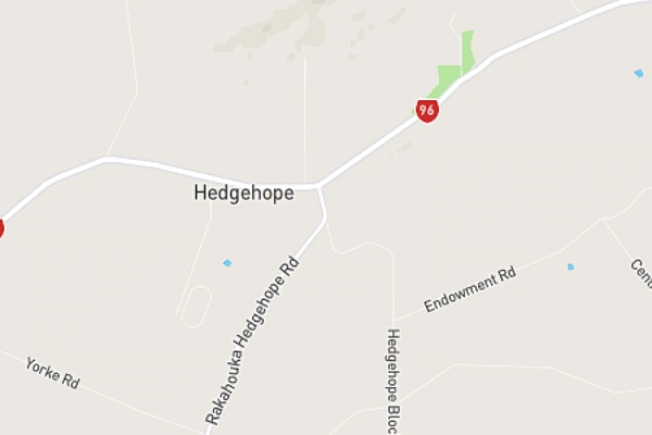 Hedgehope