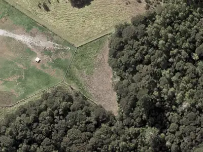 Rural  Rural Production Zone
