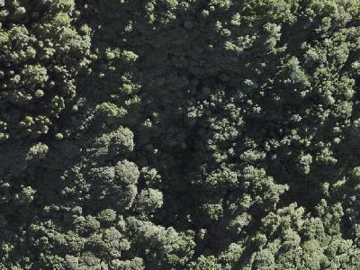 Rural  Waitakere Ranges Zone
