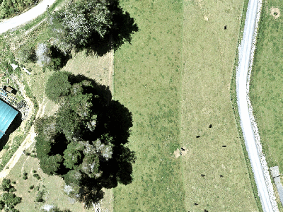 Rural  Rural Production Zone